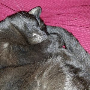 Meet your Posher, Denise